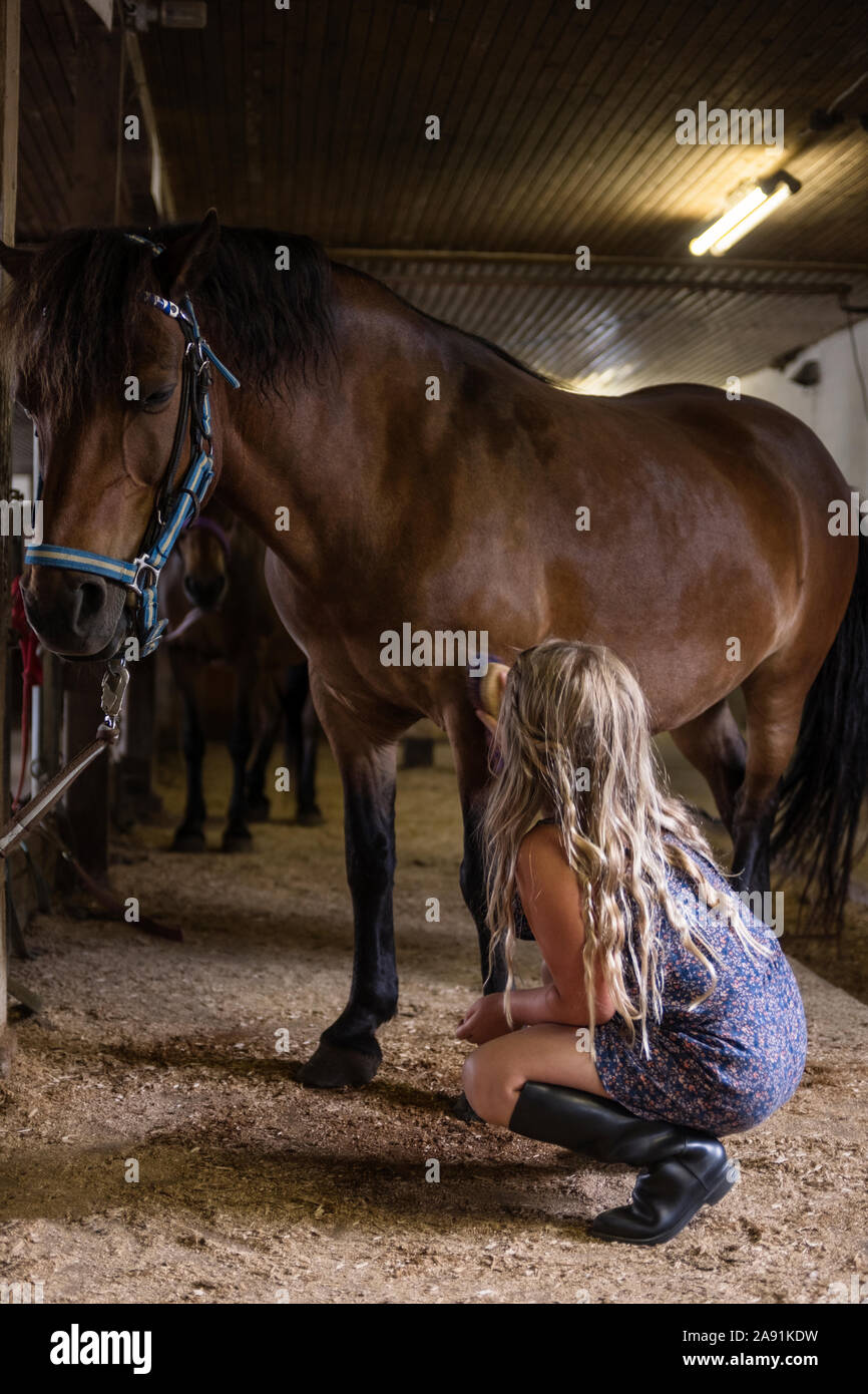 Chica caballo cepillado Foto de stock