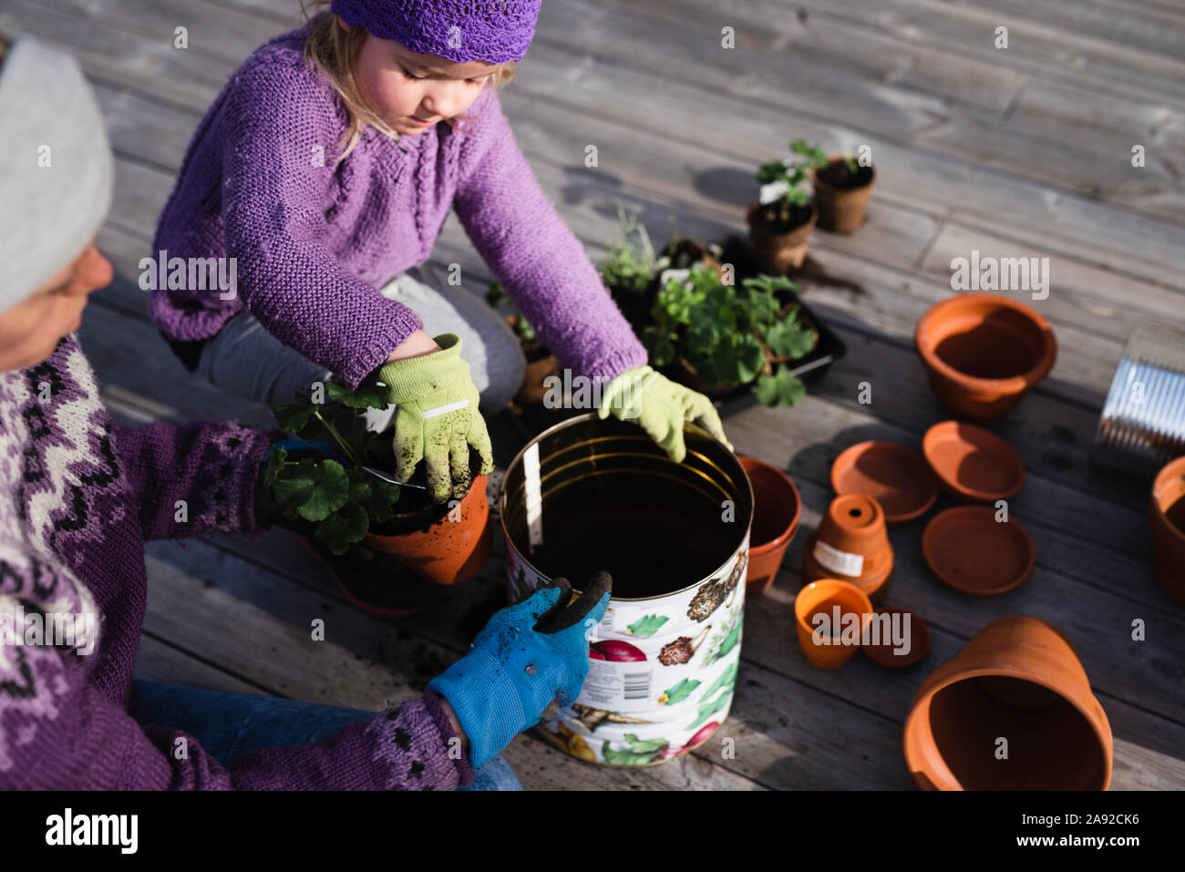 Madre e hija potting plant Foto de stock