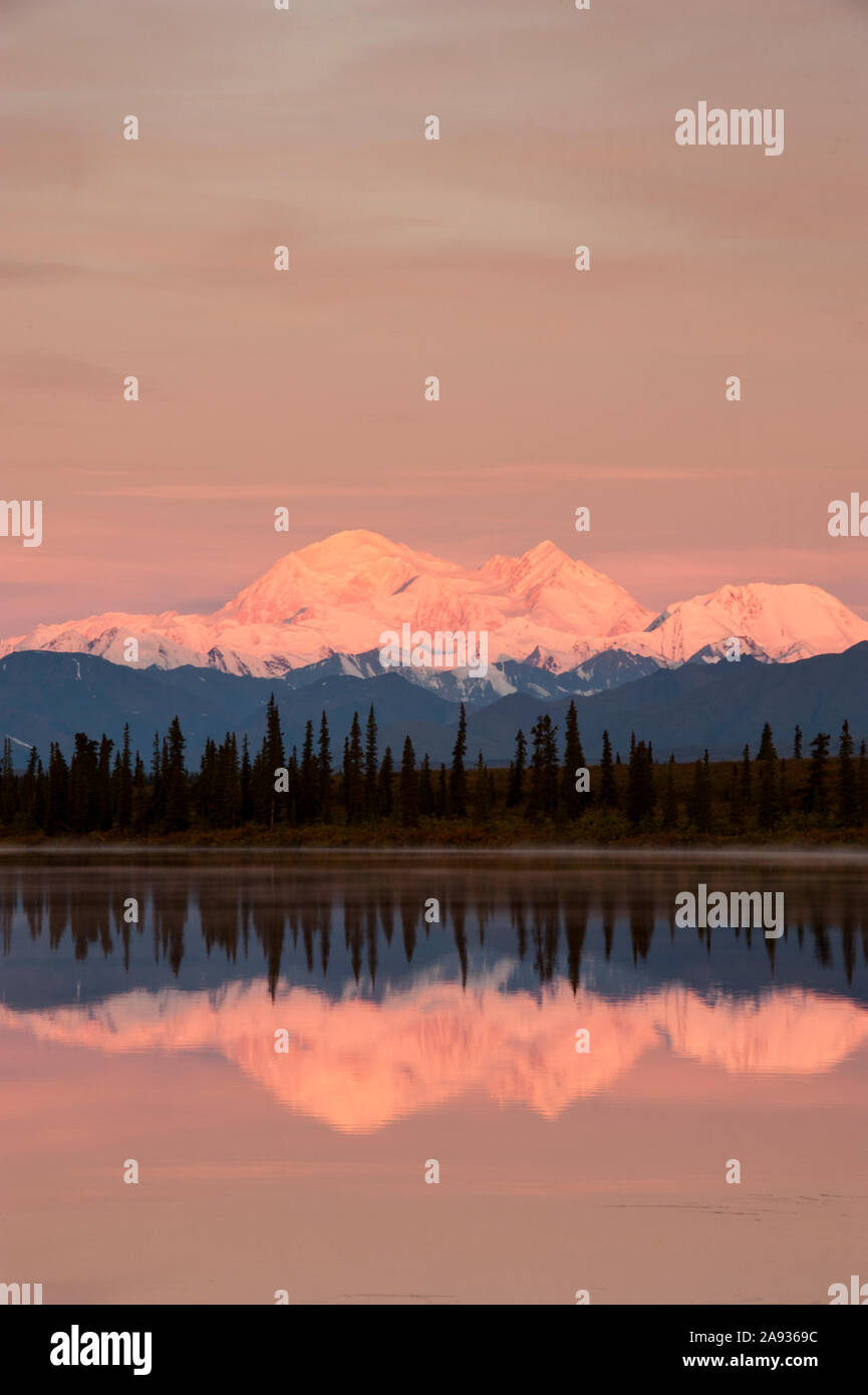 América del Norte; Estados Unidos; Alaska; el Parque Nacional Denali; Mt. Denali; 20; 320; Norte Ameica'. El pico más alto; el amanecer; el otoño. Foto de stock