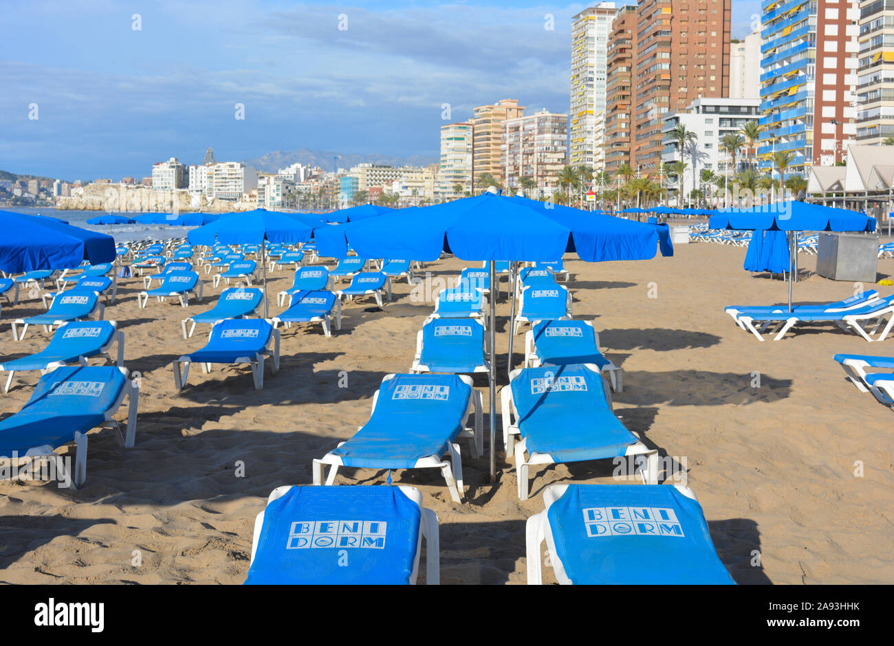 flexible radical Potencial Hamacas y sombrillas de playa para alquilar en La Playa de Levante, a la  mañana temprano. Benidorm, Alicante, España Fotografía de stock - Alamy