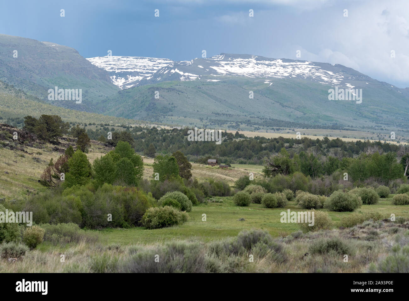 Ben Riddle camarote debajo Steens Mountain, Oregon. Foto de stock