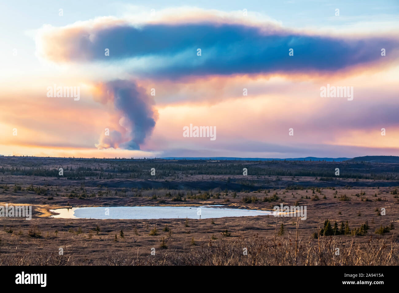 Una penumca de humo de los incendios forestales de los lagos de Oregón se eleva en lo alto del cielo cerca de Delta Junction en 2019; Alaska, Estados Unidos de América Foto de stock