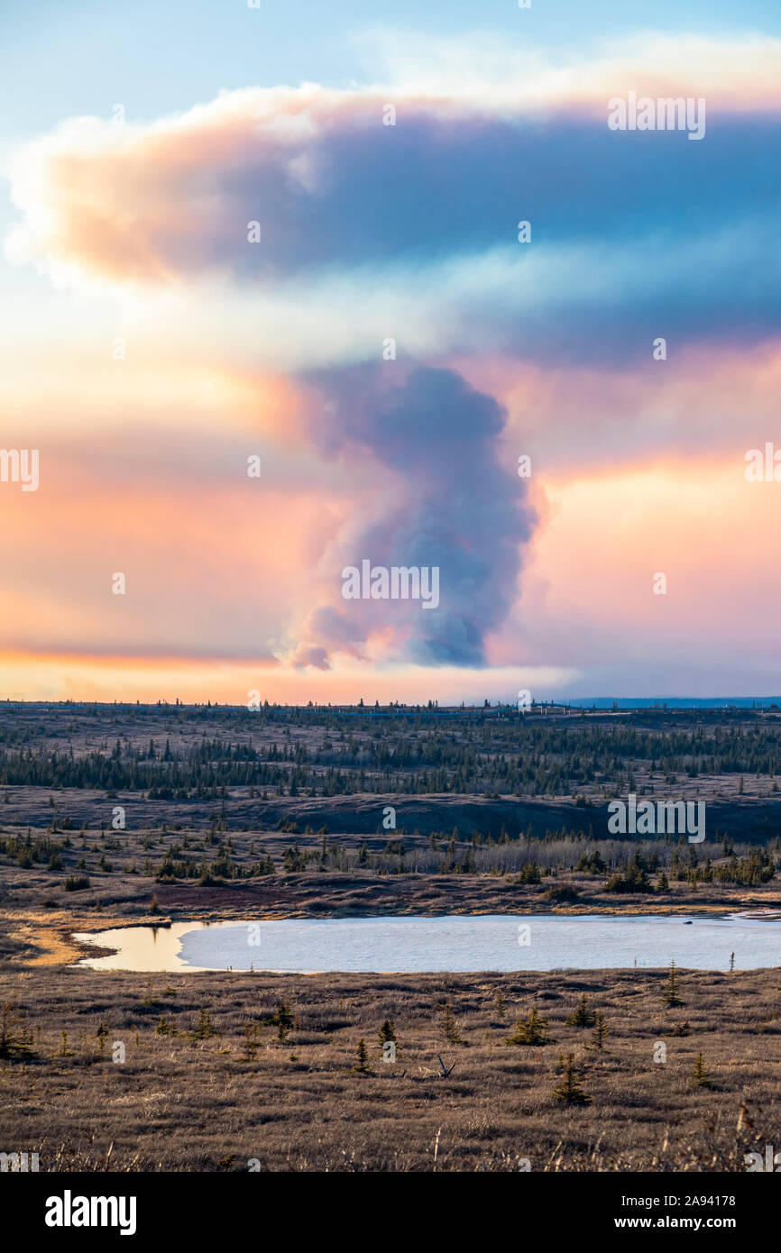 Una penumca de humo de los incendios forestales de los lagos de Oregón se eleva en lo alto del cielo cerca de Delta Junction en 2019; Alaska, Estados Unidos de América Foto de stock