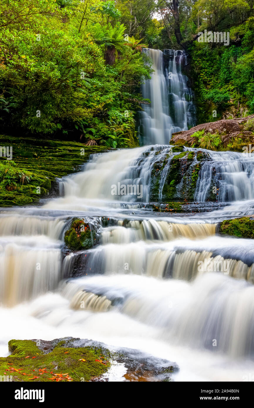 Mclean Falls, Parque Forestal Catlins; Región de Otago, Nueva Zelanda Foto de stock
