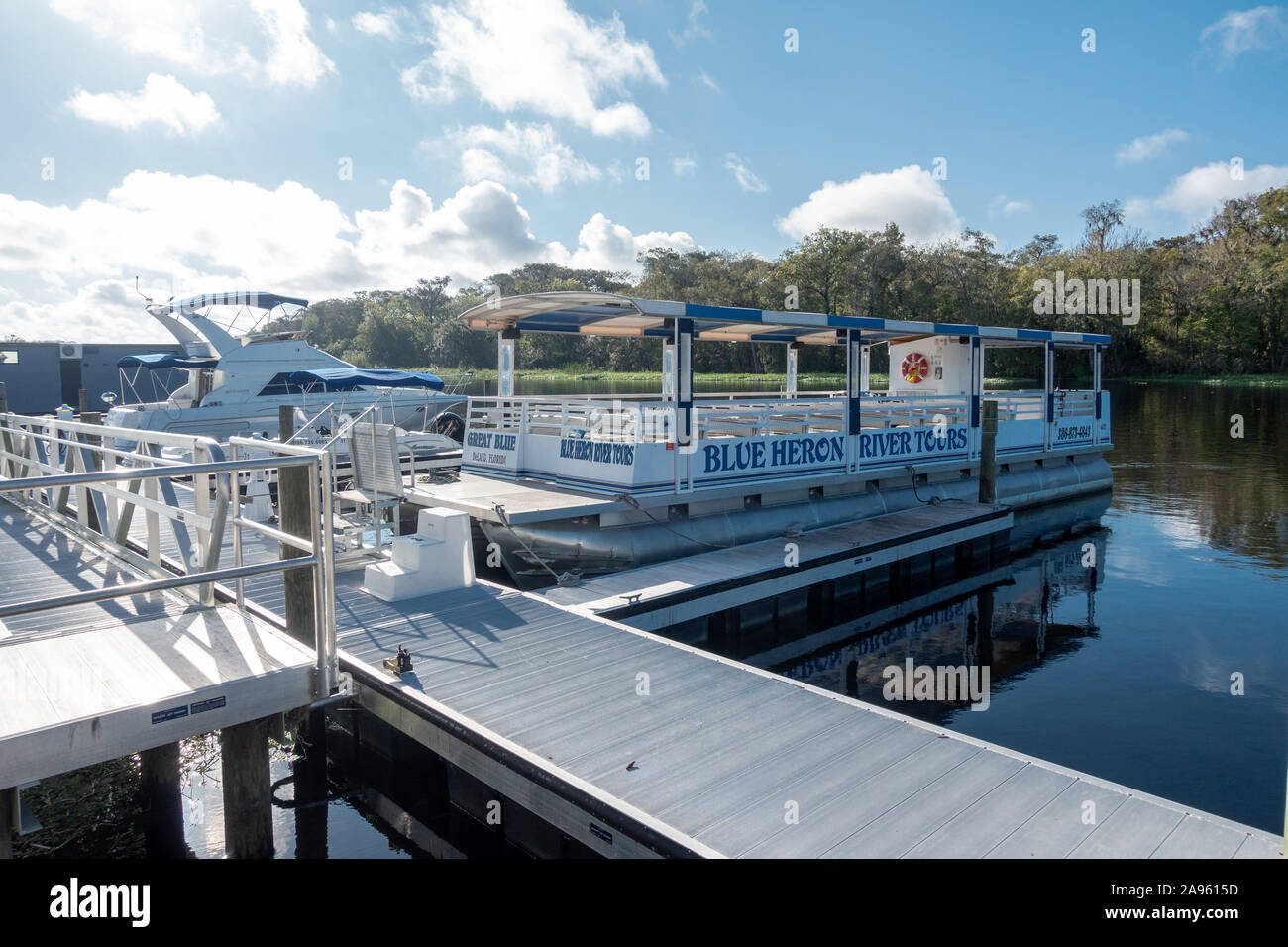 Blue Heron paseos fluviales Pontoon Boat amarrados en el St John's River DeLand Florida USA Foto de stock