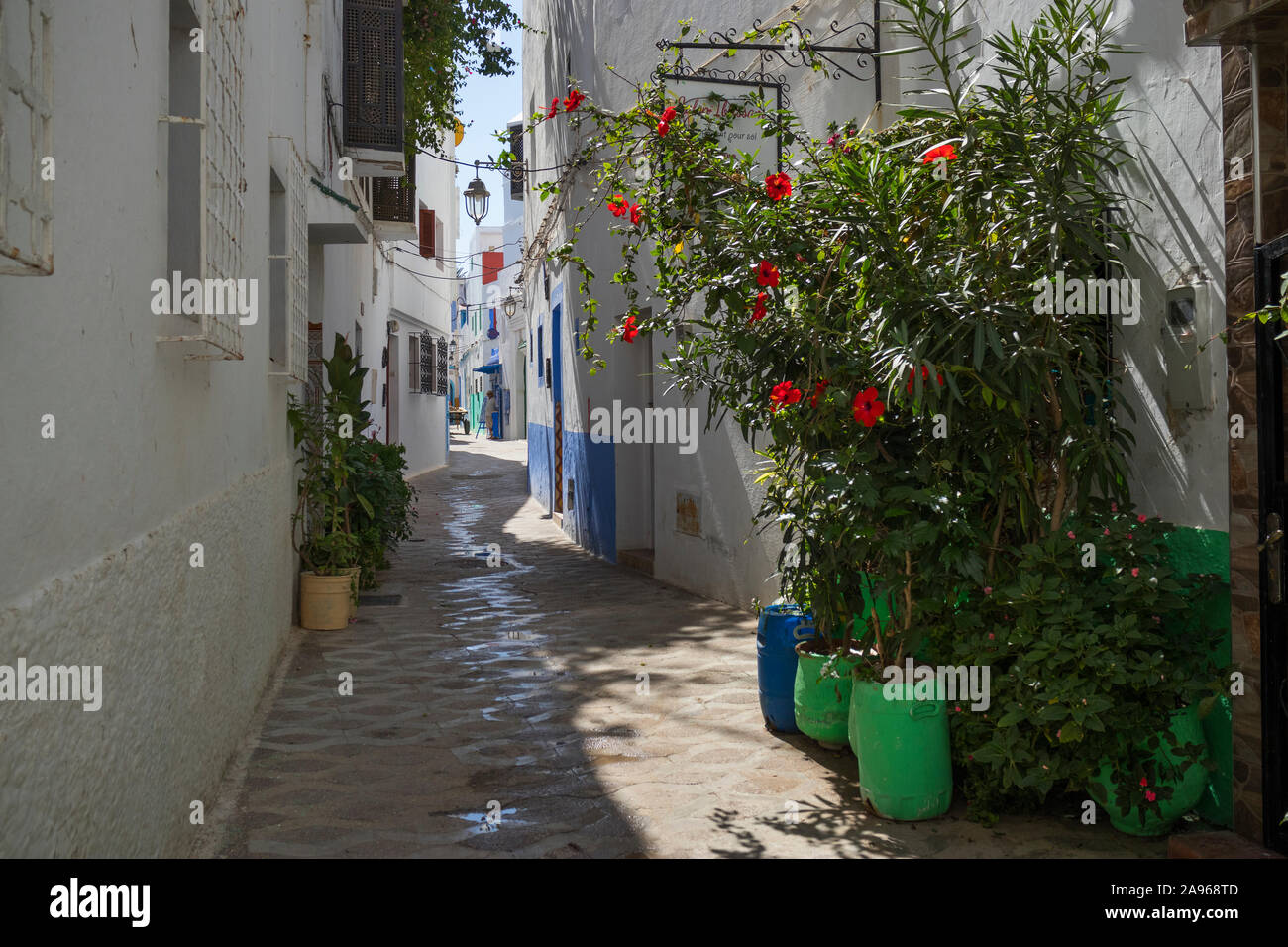 Asilah, Morocco-September 10, 2019: antigua calle angosta en la medina de Asilah, Marruecos Foto de stock
