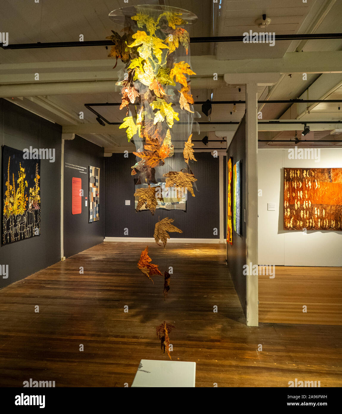 Colcha arte Australia 2019 exposición artística de edredones en exhibición en el Museo Nacional de lana Geelong, Victoria, Australia. Foto de stock