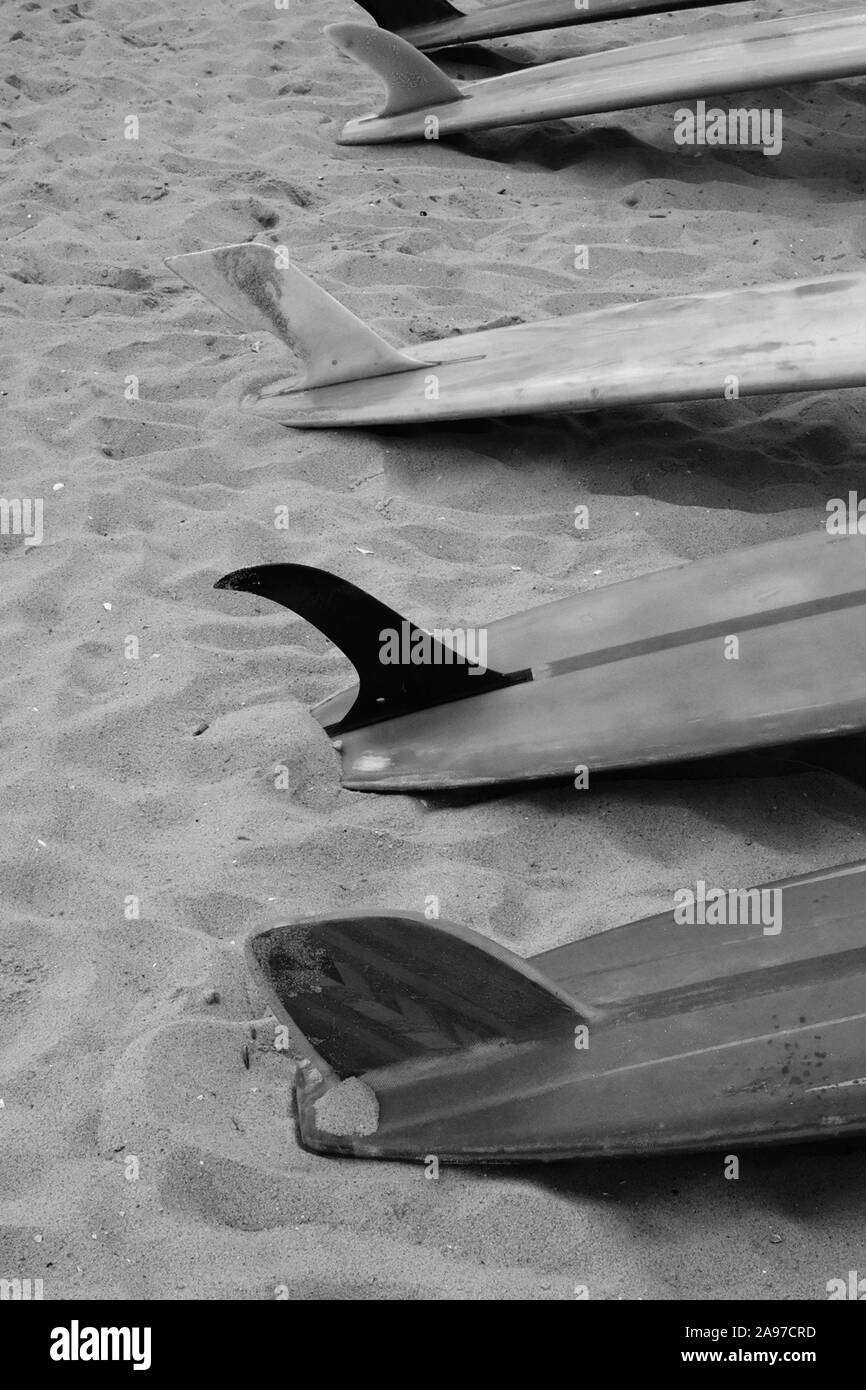 Las tablas de surf vintage en blanco y negro Manasquan, New Jersey