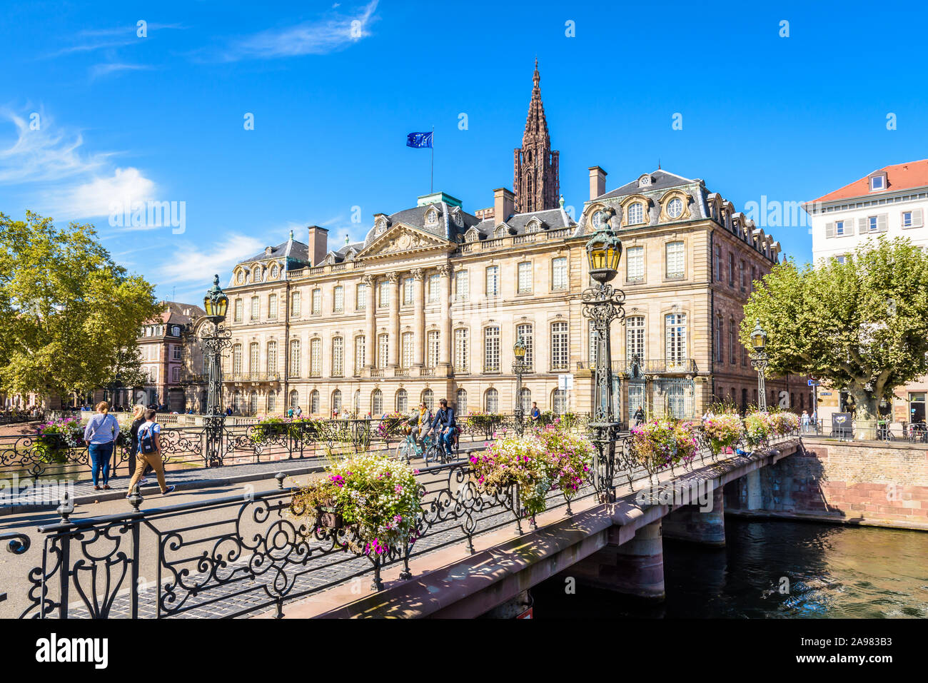 Fachada del Palacio Rohan de Estrasburgo, Francia, frente al río enfermo con el campanario de la catedral de Notre-Dame, que sobresale por encima del techo. Foto de stock