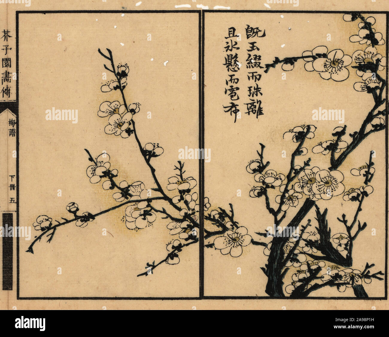 Rama del ciruelo en flor blanca con caligrafía. Xilografía Color de mokuhanga Kaishien Gaden, edición japonesa de Wang Gai's Jieziyuan Huazhaun o manual de la Semilla de Mostaza Jardín, segunda colección, Ichimura Bunko, Tokio, 1812. Foto de stock