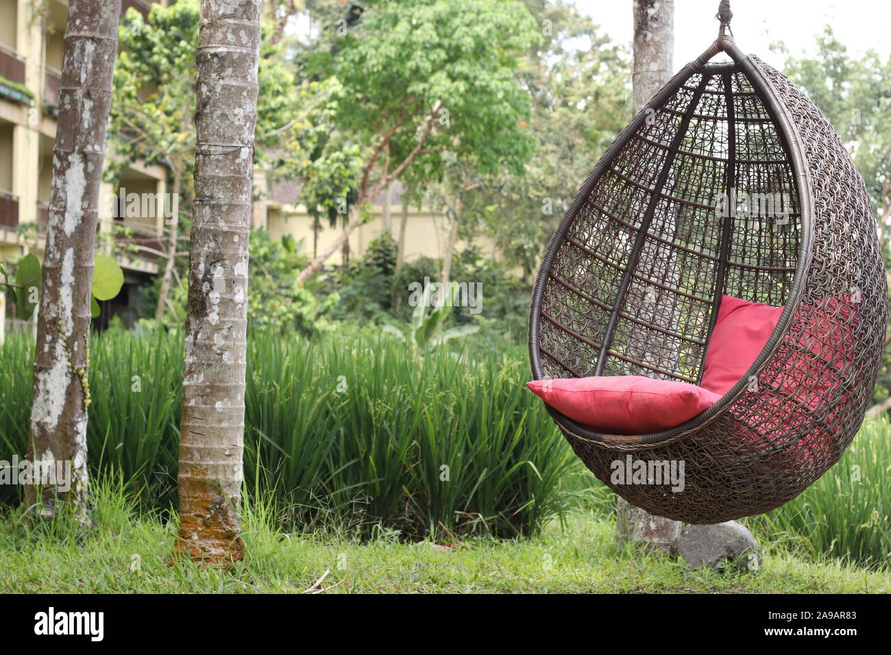 Nuevos columpios modernos nido o nido de pájaro columpios para sentarse y  relajarse en el parque o el hotel, orientación horizontal Fotografía de  stock - Alamy