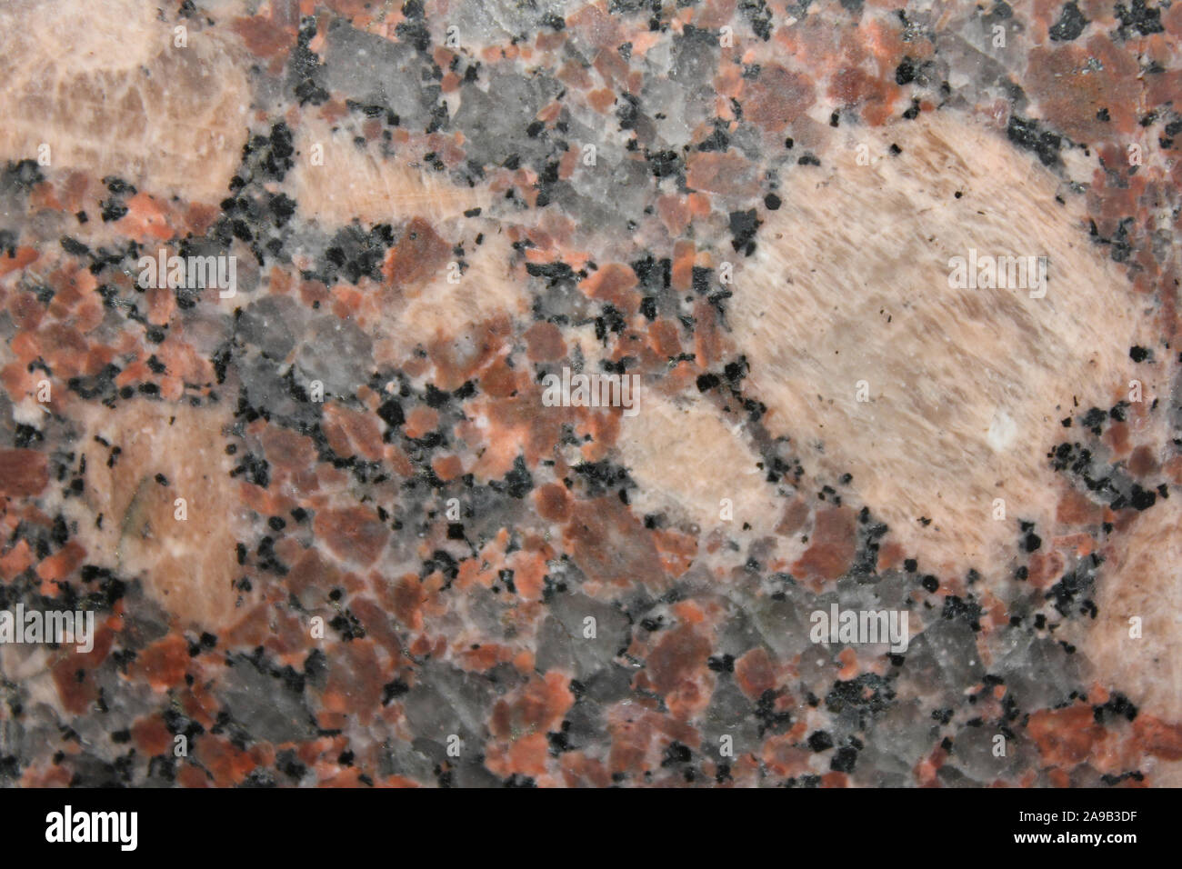 Macro cristales de granito que muestra grandes fenocristales de feldespato potásico junto con biotita Foto de stock