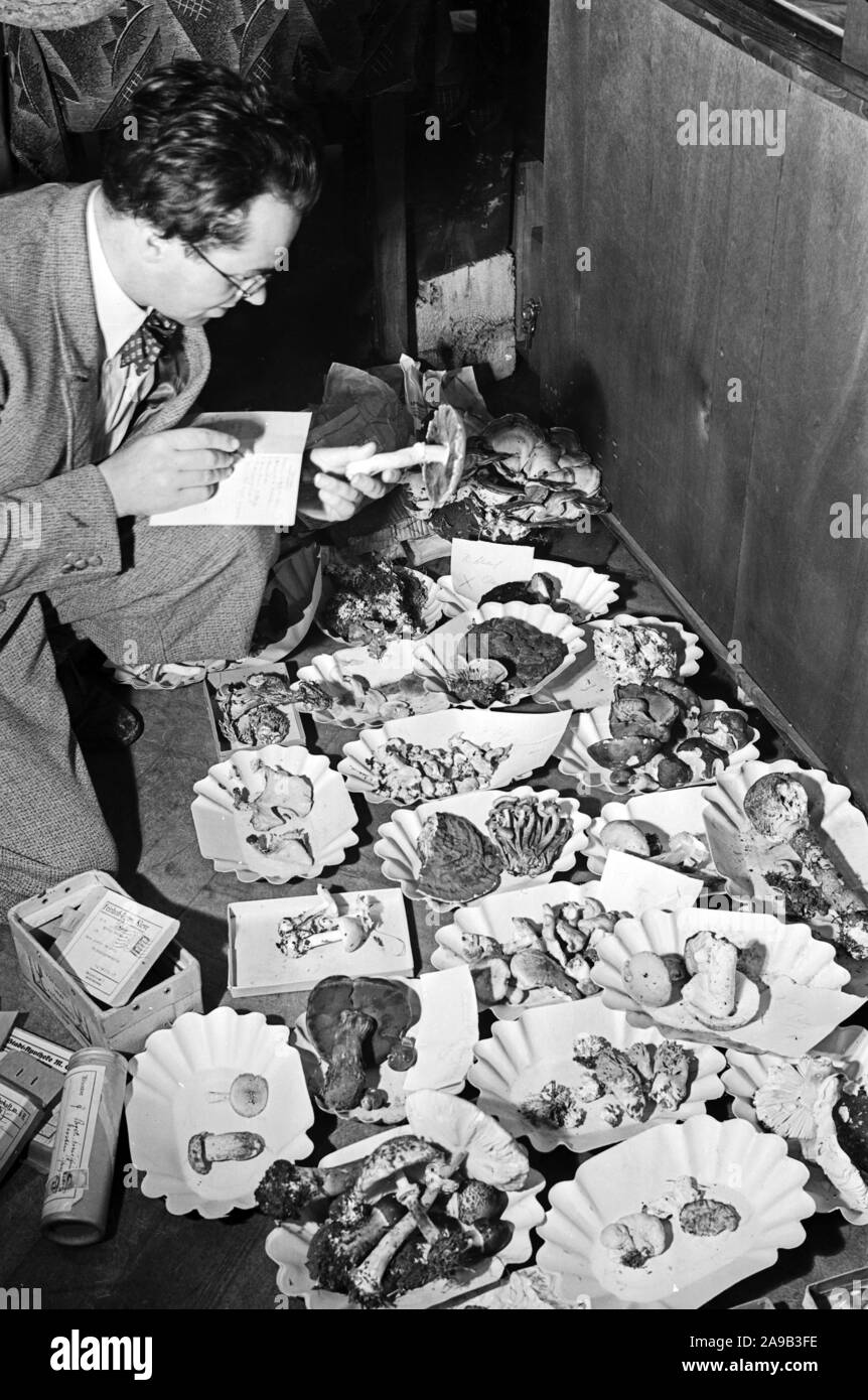 Un jurado revisando distintas comidas hechas de champiñones, Alemania 1930. Foto de stock