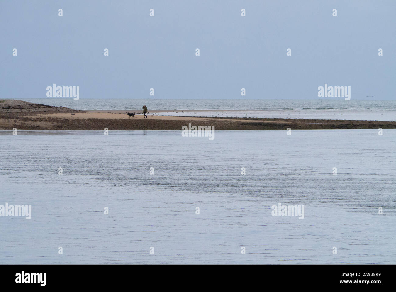 La gente caminando a su perro en la playa en el Loch Fleet cerca Golspie Sutherland Escocia UK Foto de stock