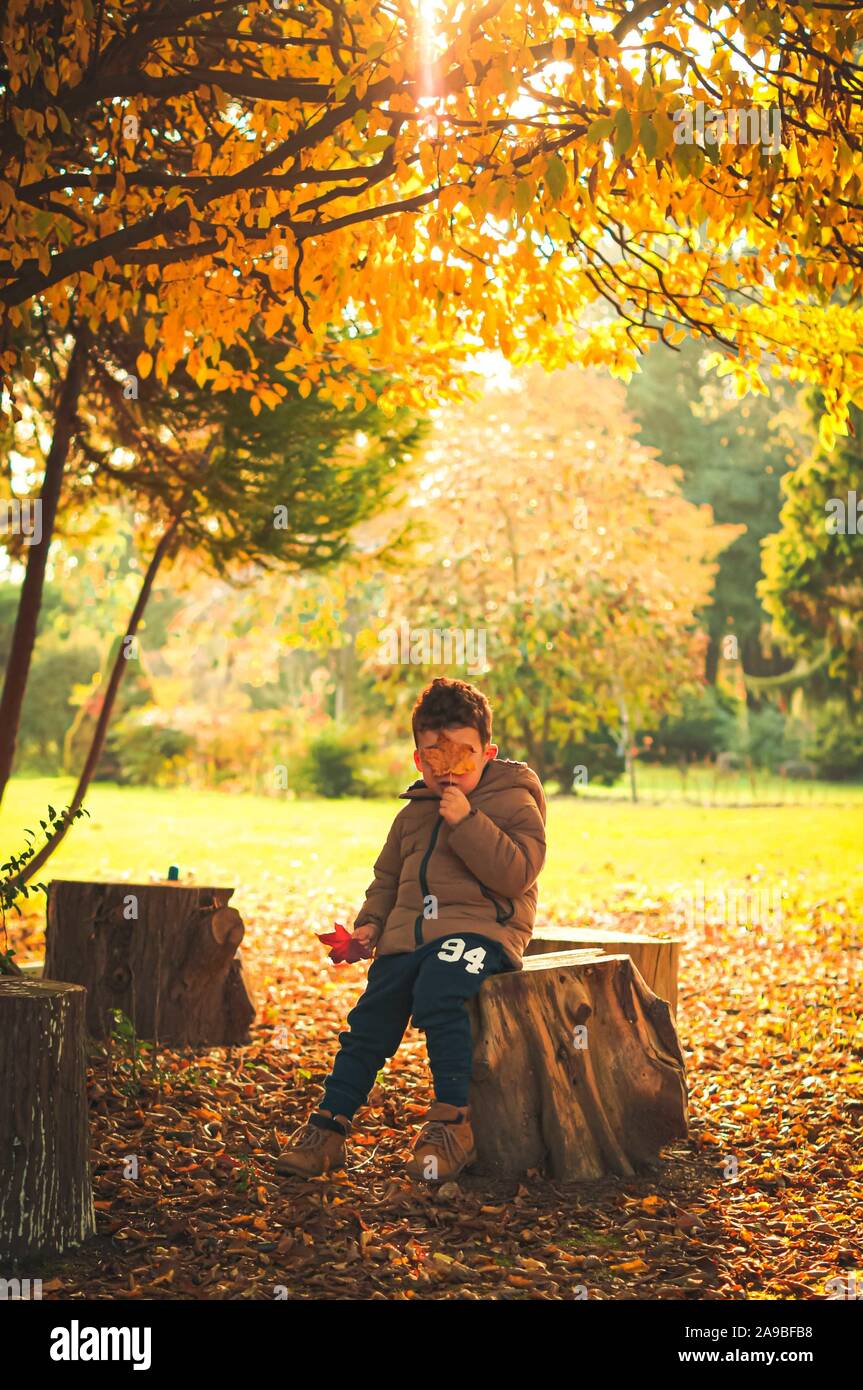 Baby Boy jugando con hojas doradas en la naturaleza en los rayos de sol. Soleado día de otoño. Foto de stock