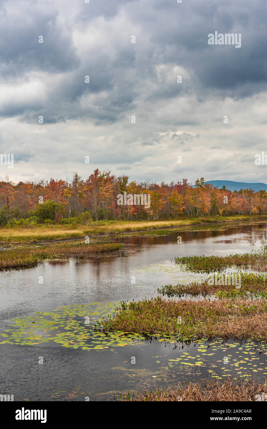 Colores de otoño adornan el lago Pleasant, Adirondack Mountains, el condado de Hamilton, Nueva York Foto de stock