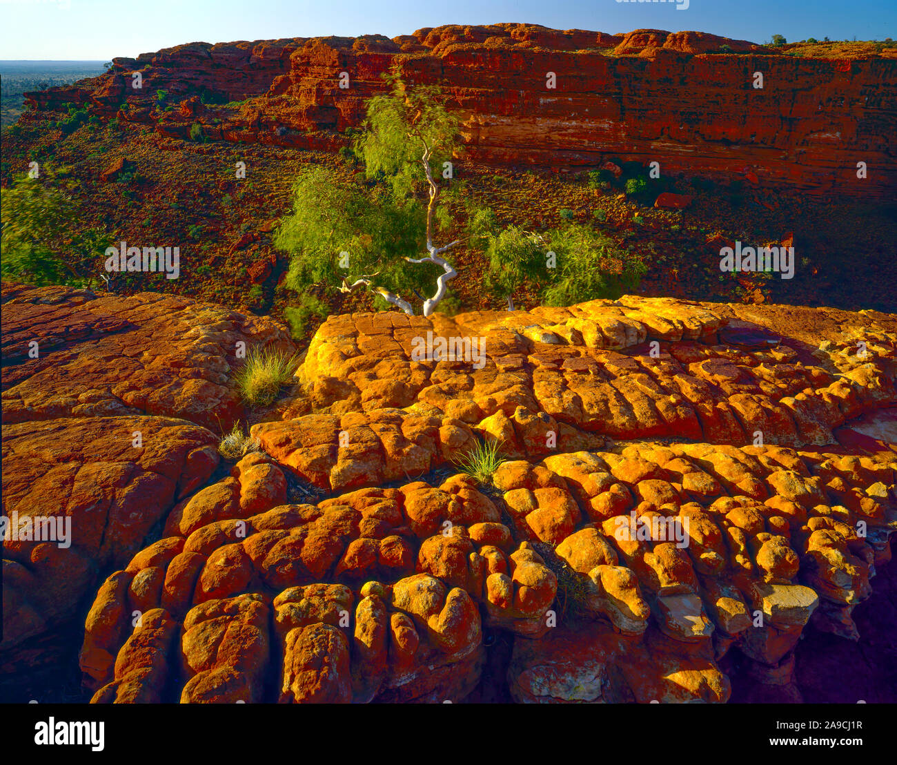 Patrones de rock, el Parque Nacional Watarrka, Australia , Kings Canyon, el Territorio del Norte, el borde del Kings Creek, La Ciudad Perdida Foto de stock