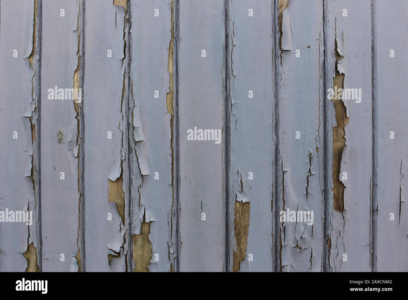 Primer plano de pared de madera con pintura azul claro pelando Foto de stock