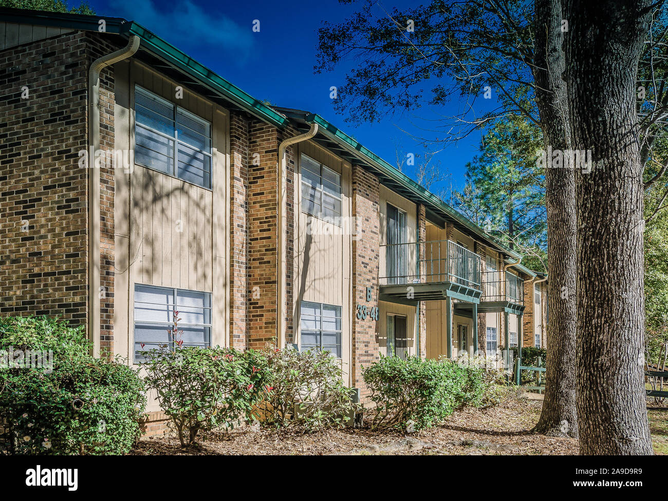 Edificios residenciales se muestren en otoño bosques casas de apartamentos, 27 de noviembre de 2015, en Mobile, Alabama. Foto de stock