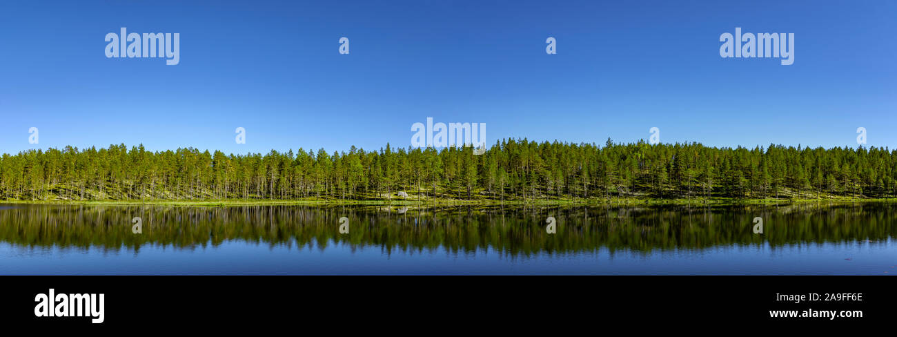 Panorama del lago Femund en Noruega Hedmark Foto de stock