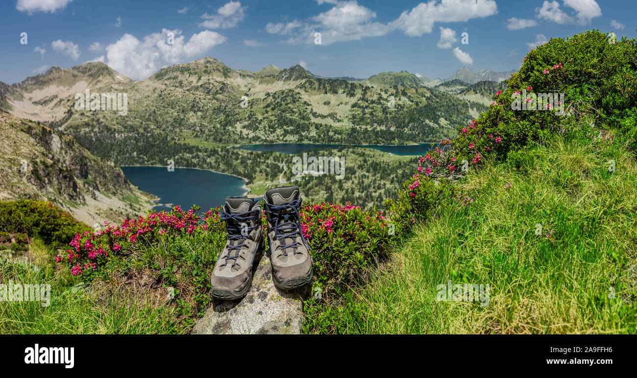 Botas de montaña entre rosas alpina en las montañas Fotografía de stock -  Alamy