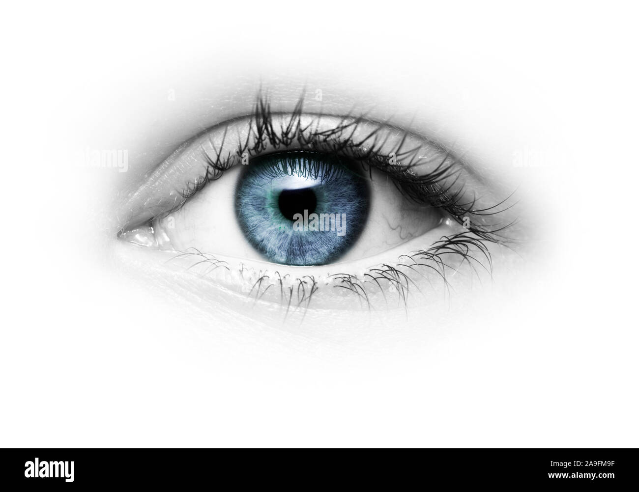 Alumno atento Imágenes recortadas de stock - Alamy