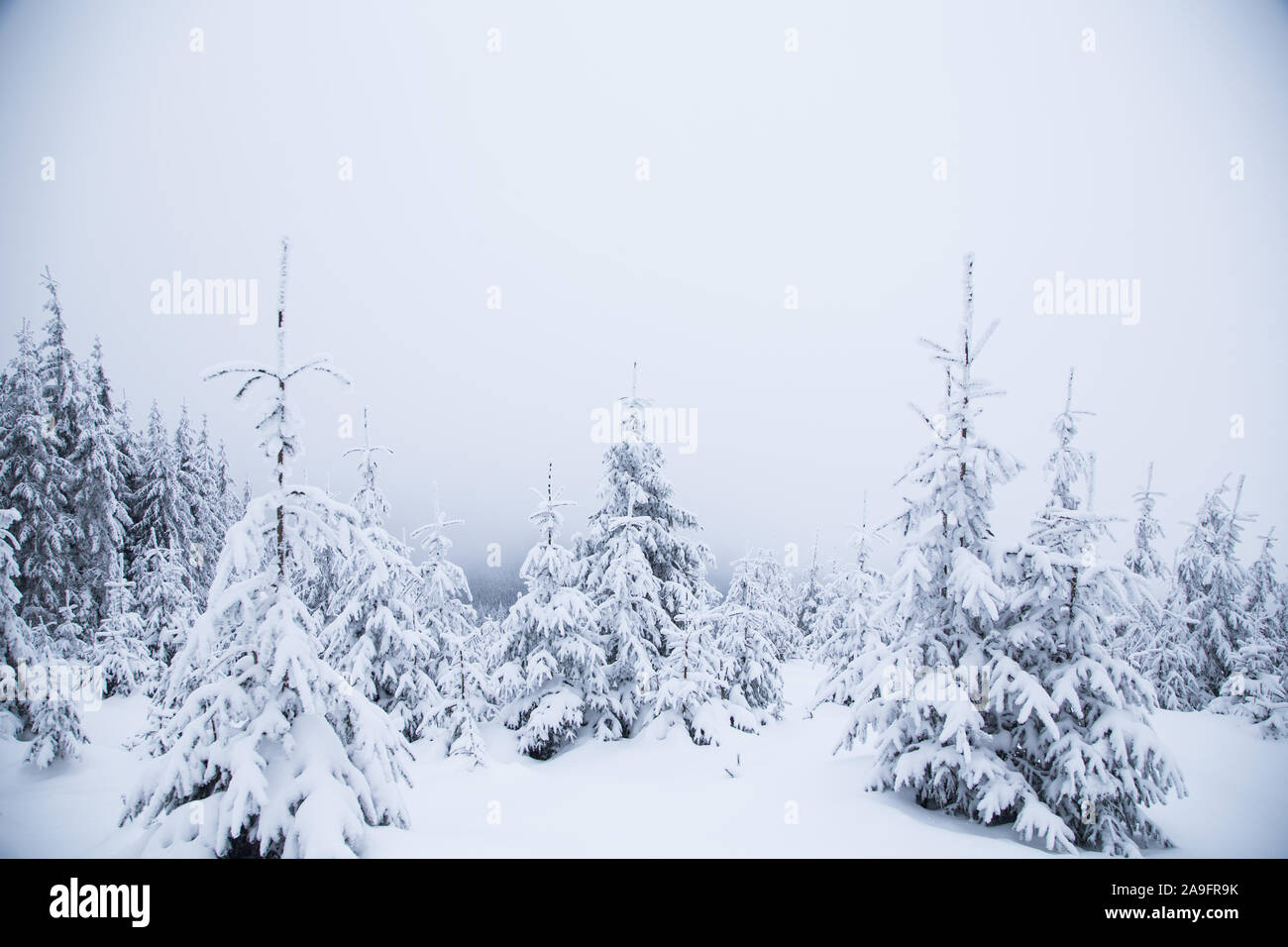 Hermoso paisaje de montaña de invierno. Paisaje invernal con nieve fresca en un bosque de montaña Foto de stock