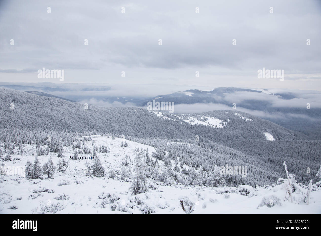Hermoso paisaje de montaña de invierno. Paisaje invernal con nieve fresca en un bosque de montaña Foto de stock