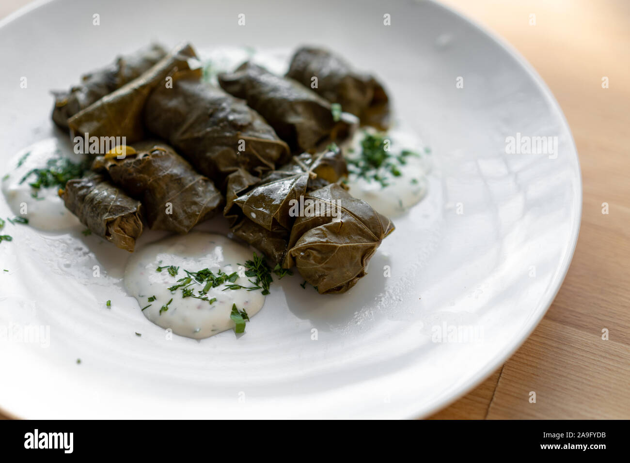 Las hojas de parra rellenas tradicional en una gran placa blanca dolma