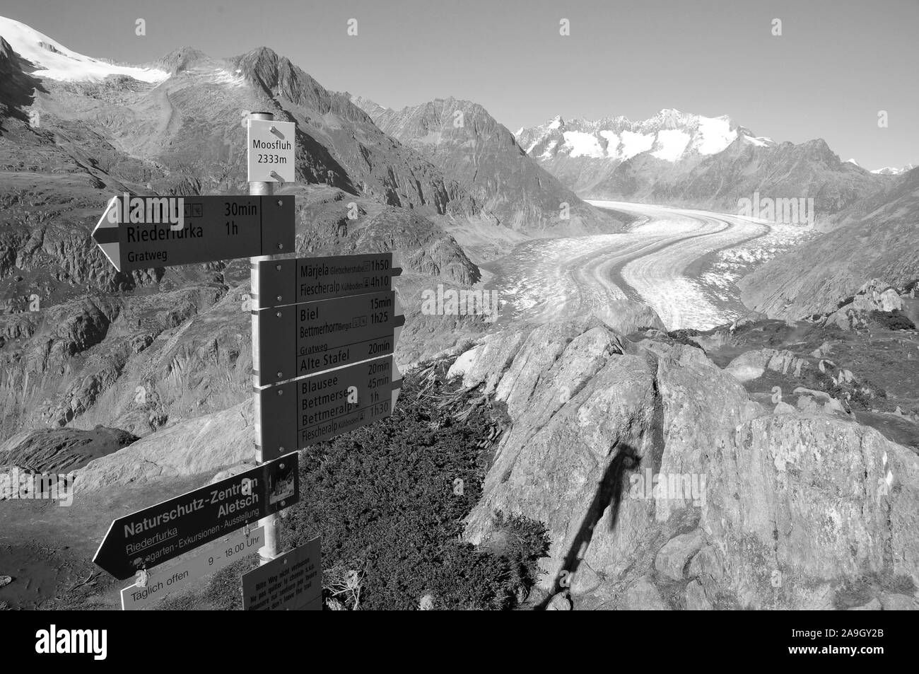 Una vista panorámica del glaciar más larga de los Alpes suizos - El Aletschglacier - que se está derritiendo drásticamente debido al cambio del clima mundial. Su peso es de Foto de stock