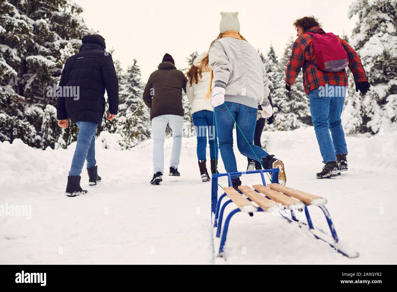 Vista trasera amigos correr sobre la nieve en el parque en invierno. Foto de stock