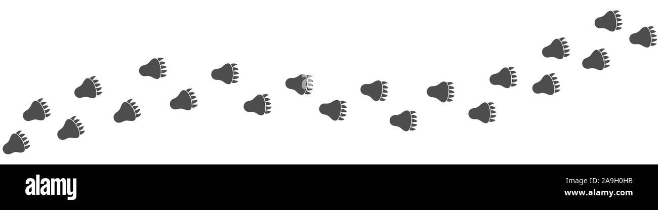 Bear paws imprimir. Sendero sendero de animal, ilustración vectorial Ilustración del Vector