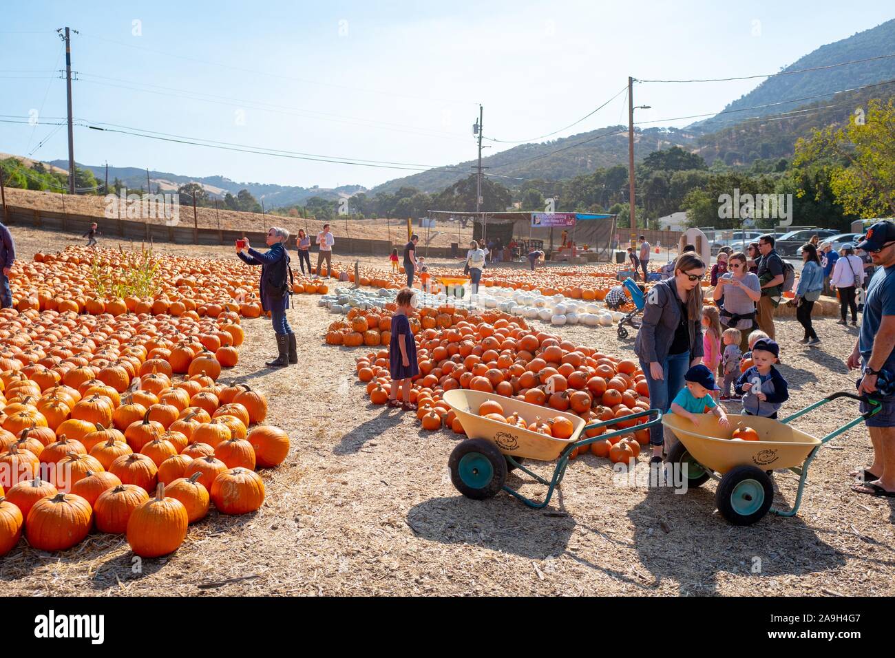 La gente disfruta del otoño en las actividades agrícolas del Valle de Clayton y Pumpkin Patch en Clayton, California, 12 de octubre de 2019. () Foto de stock