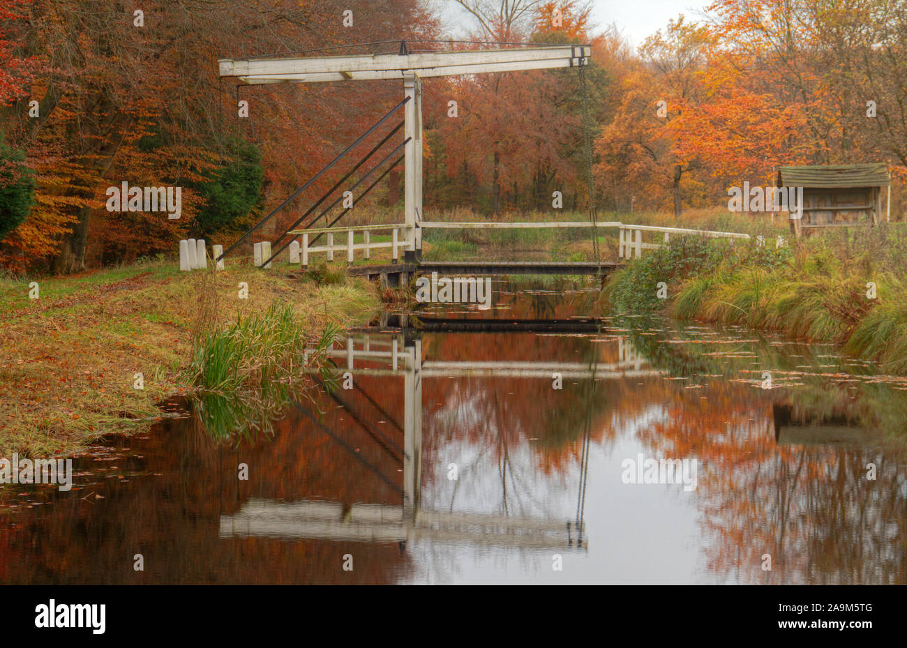 Pequeño puente levadizo de madera sobre un canal en un paisaje otoñal cerca de Veenhuizen en los Países Bajos Foto de stock