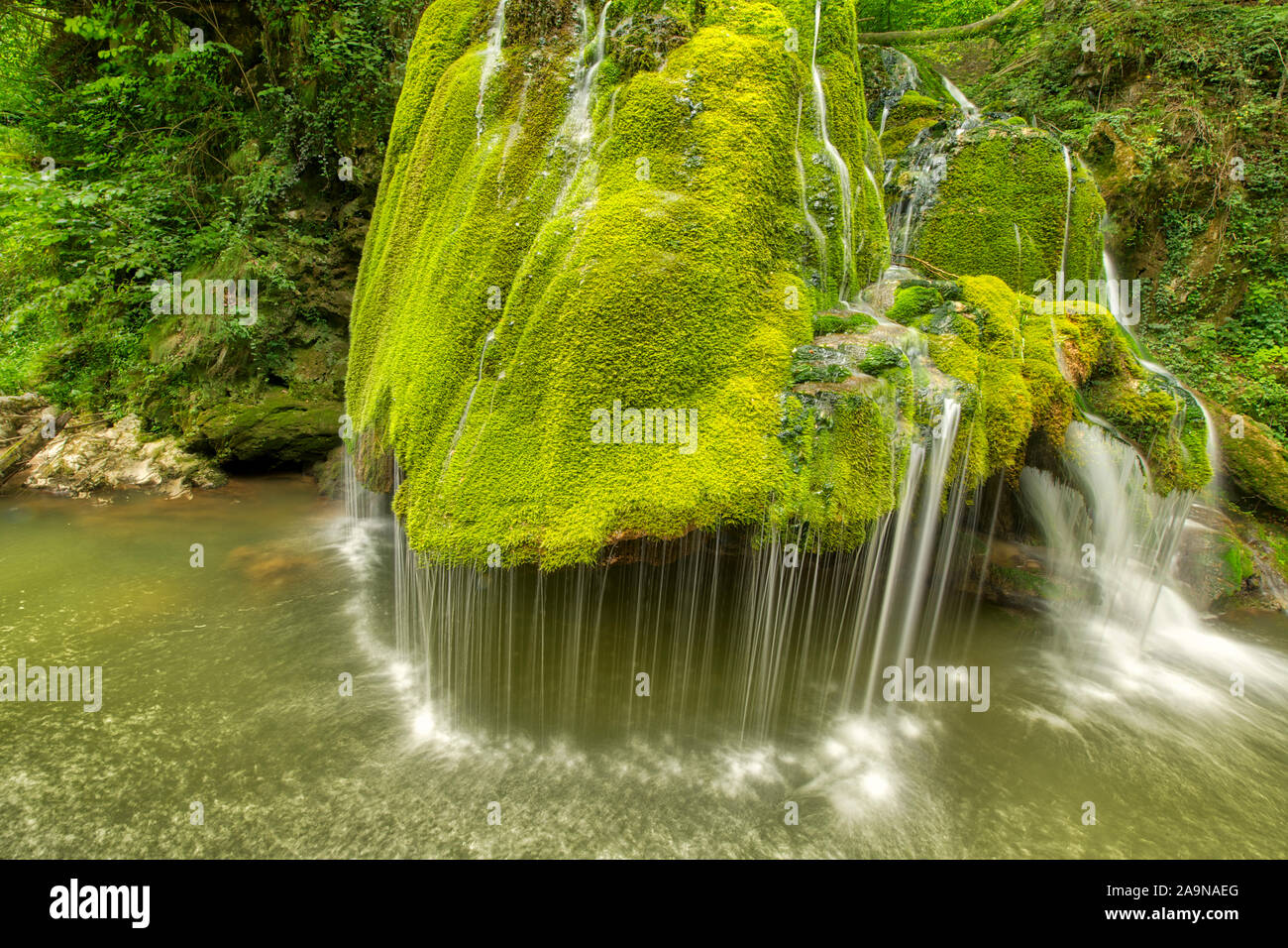 Cascada Bigar, único mossy cascada en el Parque Nacional Nerei-Beusnita Cheile, Rumania, Caro Severin Región Foto de stock
