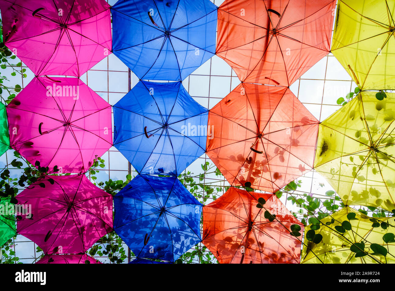 Dubai, Emiratos Árabes Unidos, 22 de enero de 2018: decorativos sombrillas en Dubai milagro jardín que es uno de los principales atracciones turísticas en Dubai, Emiratos Árabes Unidos Foto de stock