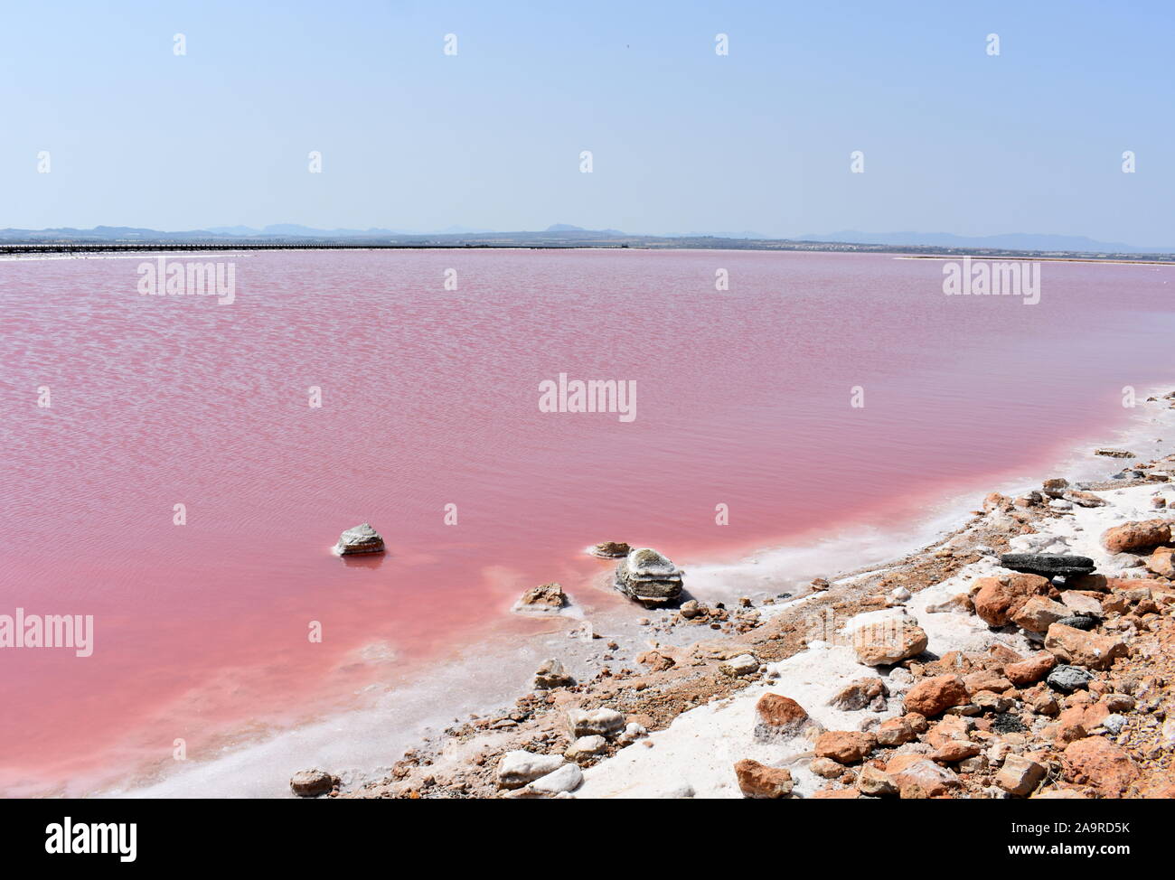 Pink Salt Lake en las salinas de Torrevieja, Torrevieja, Alicante, España  Fotografía de stock - Alamy
