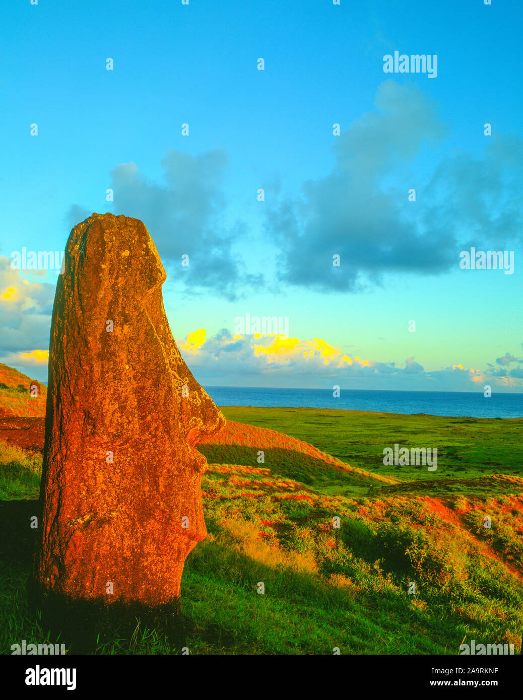 Estatuas moai en Rano Raraku, Isla de Pascua, Chile Parque Nacional Rapa Nui, Océano Pacífico del Sur Foto de stock
