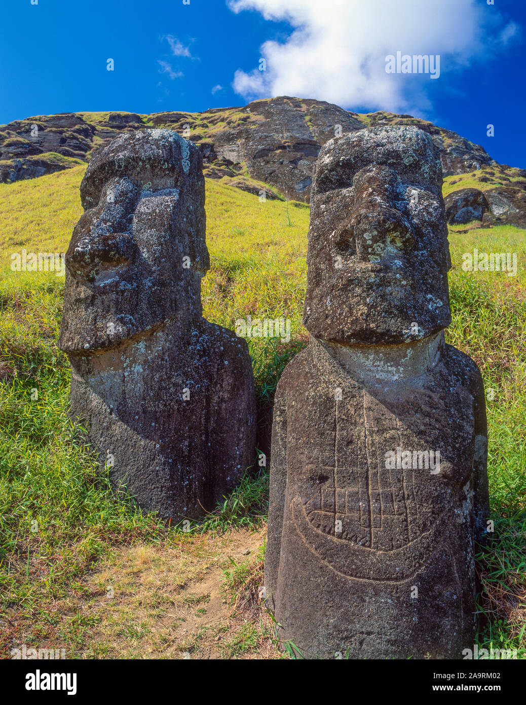 Estatuas moai en Rano Raraku, Isla de Pascua, Chile, el Parque Nacional Rapa Nui, Océano Pacífico del Sur Foto de stock