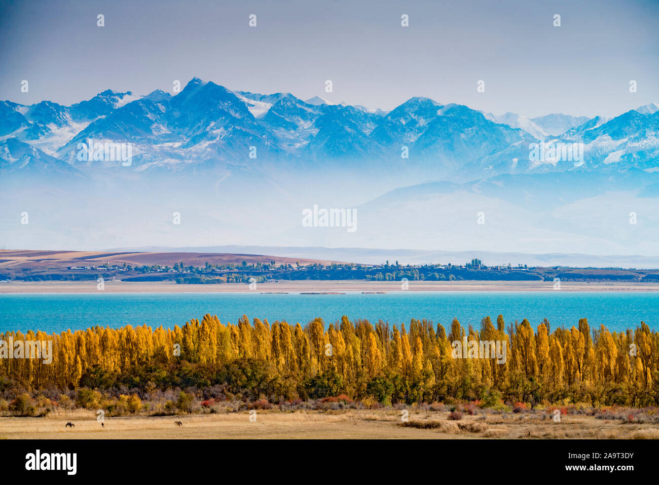 Montañas Tien Shan, y el Lago Issyk-kul , Kirguistán, Asia Central, Foto de stock