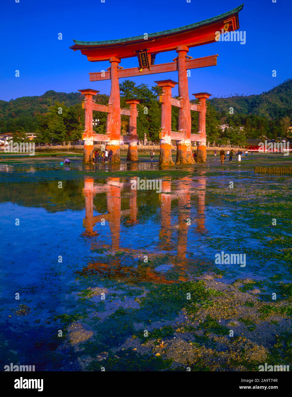 El torii flotante de Miyajima, Isalnd, Japón, símbolo de Japón construida en 1875, las montañas y el mar interior más allá Foto de stock