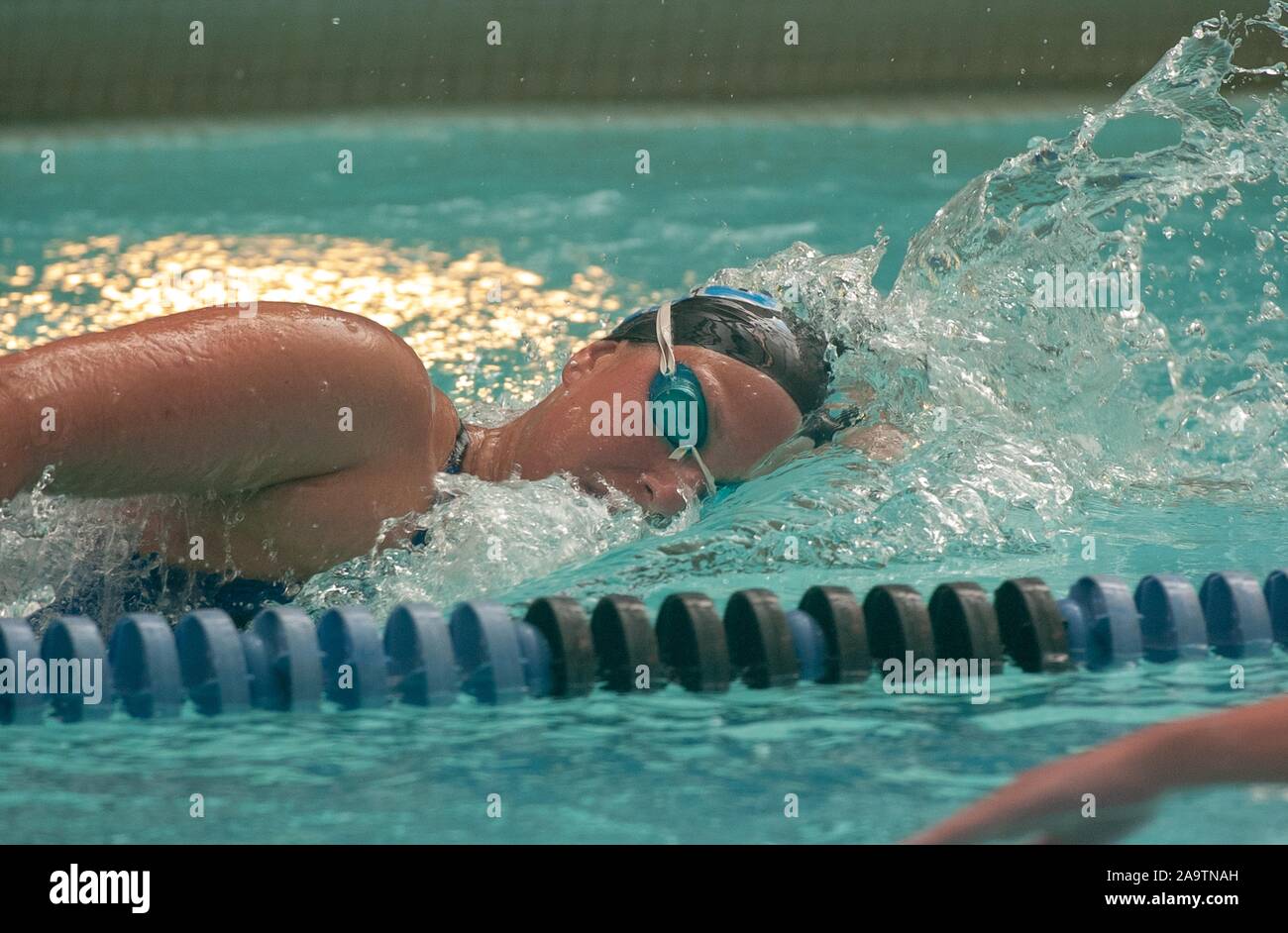 Perfil oculto toma desde el pecho de un hombre de la Universidad Johns Hopkins, miembro del equipo de natación se mueve a través del agua mientras realiza una sidestroke, 14 de enero de 2005. Desde el Homewood Fotografías. () Foto de stock