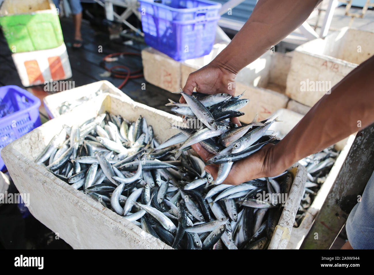 Vendiendo el pescado al mercado del pescado Foto de stock