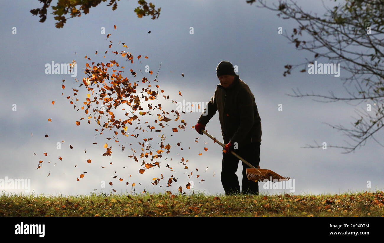 18 de noviembre de 2019, de Baden-Wuerttemberg, Bechingen: Un hombre colecciona hojas de otoño contra el sol con un rastrillo, flotado por gusty viento. Foto: Thomas Warnack/dpa Foto de stock