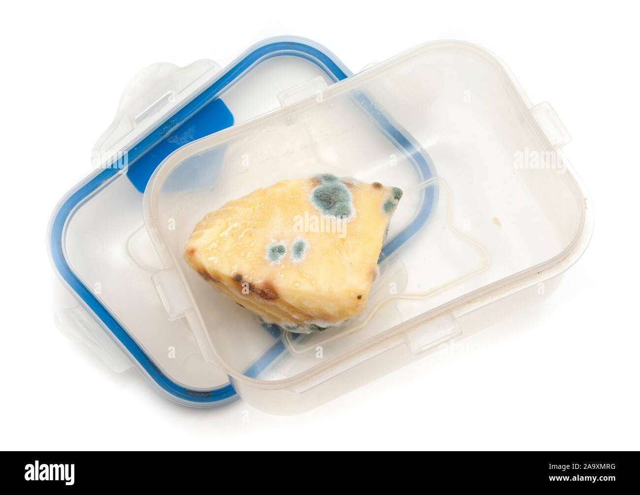 Un trozo de queso mohoso en una caja de plástico verde, mostrando el crecimiento de hongos. Foto de stock