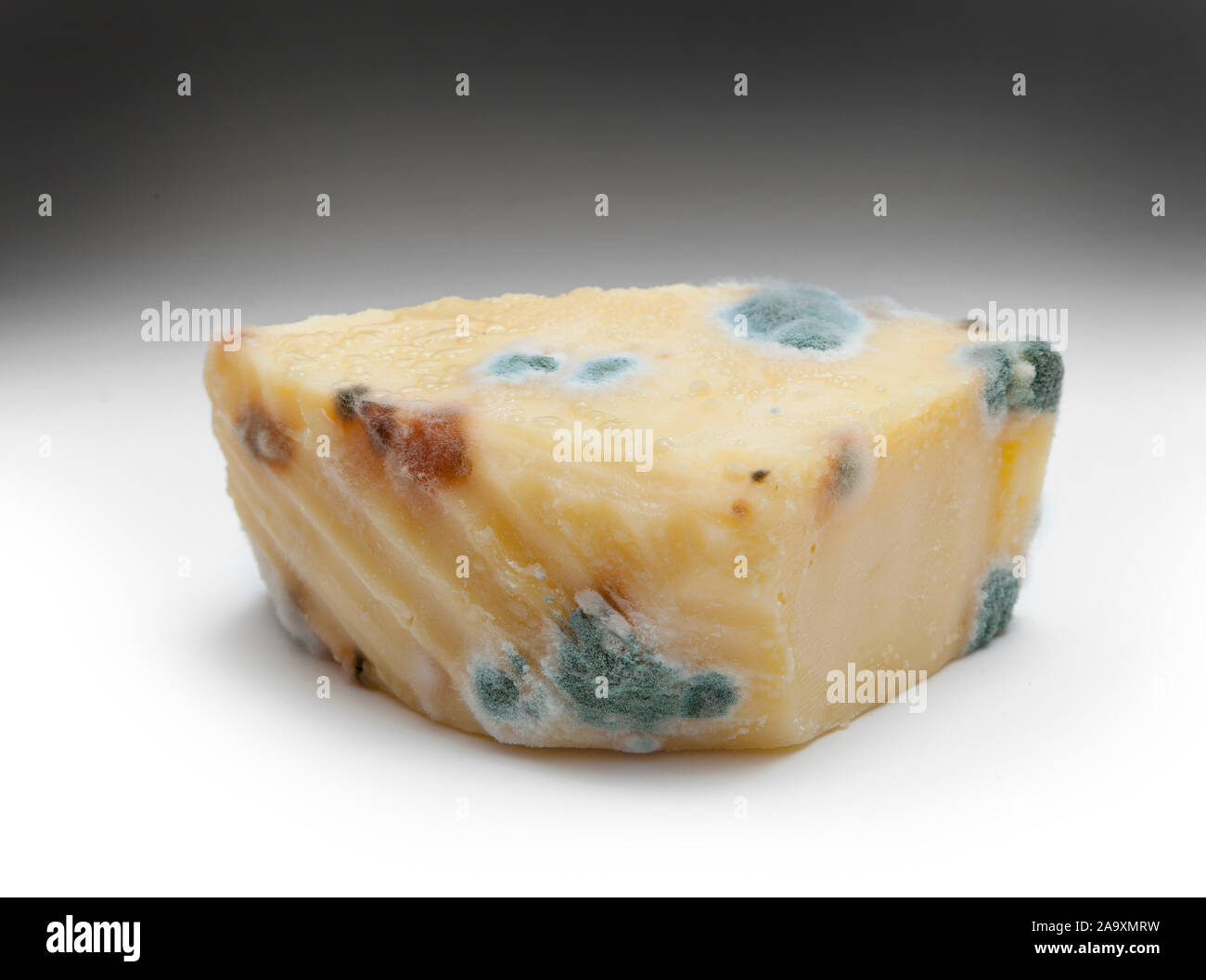 Un trozo de queso mohoso, mostrando el crecimiento de hongos verde. Foto de stock