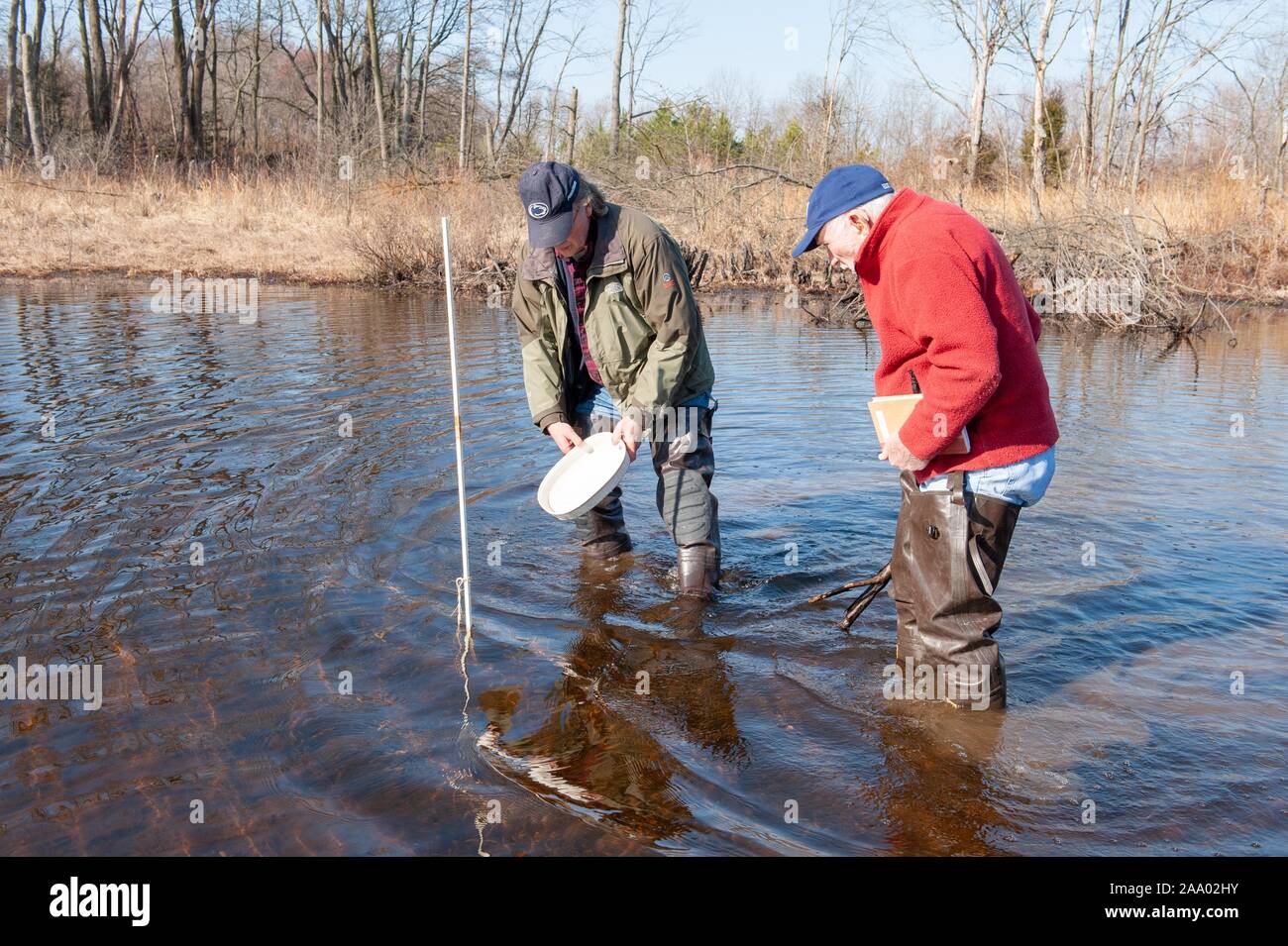 Disparo de longitud completa de Charlie Stine, un ecologista de la Universidad Johns Hopkins, trabajando con un colega en Massey Pond, Kent County, Maryland, 22 de marzo de 2009. Desde el Homewood Fotografías. () Foto de stock