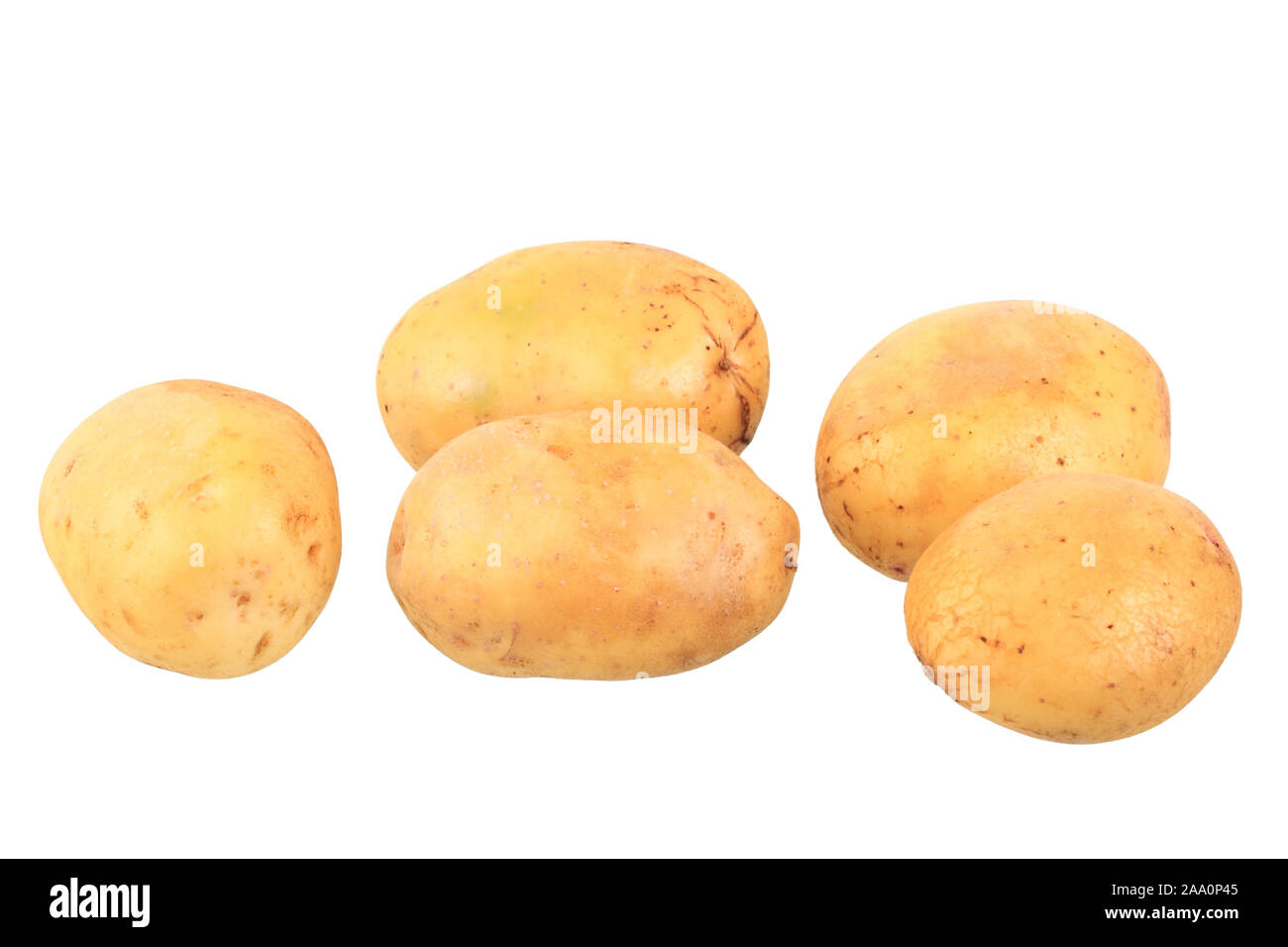 Jalea, Freisteller Kartoffelsorte Foto de stock