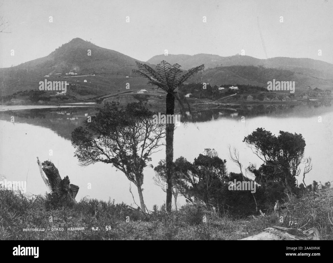 Fotografía de paisaje en blanco y negro de Portobello village en puerto de Otago, Isla del Sur, Nueva Zelanda, por el fotógrafo Frank Coxhead, 1885. Desde la Biblioteca Pública de Nueva York. () Foto de stock