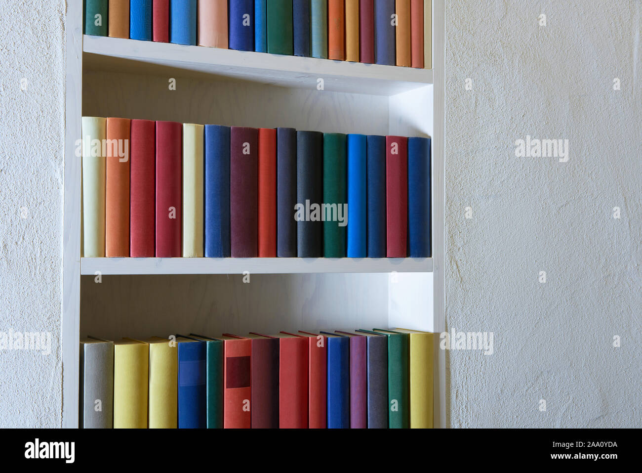 Una moderna estantería blanca sobre una pared blanca con un par de libros y  flores. El minimalismo estilo Fotografía de stock - Alamy